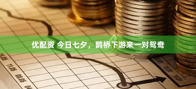优配资 今日七夕，鹊桥下游来一对鸳鸯