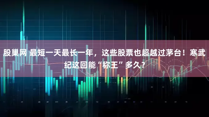 股巢网 最短一天最长一年，这些股票也超越过茅台！寒武纪这回能“称王”多久？