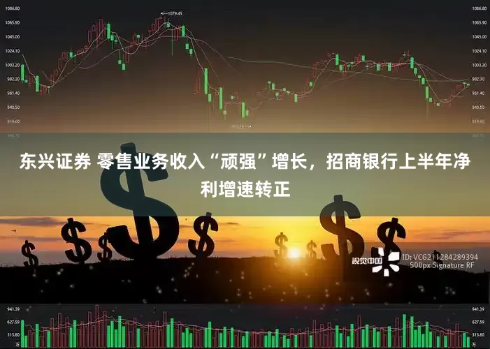 东兴证券 零售业务收入“顽强”增长，招商银行上半年净利增速转正